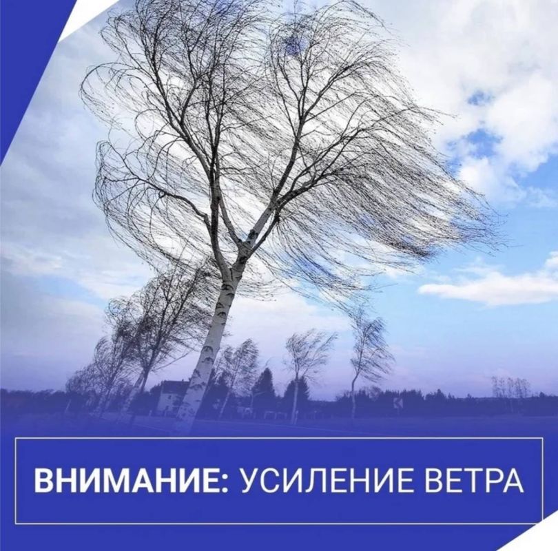   -       ,  21:00 23   21:00 24        17 /