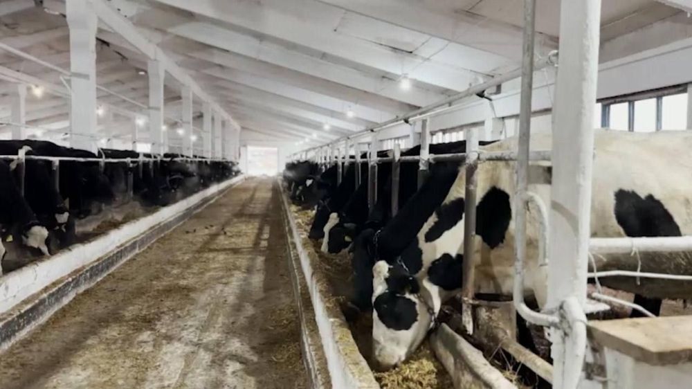 1 млрд 948 млн рублей субсидий получат сельскохозяйственные товаропроизводители Запорожской области в 2025 году