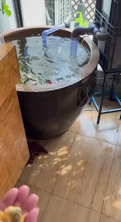   ,  !