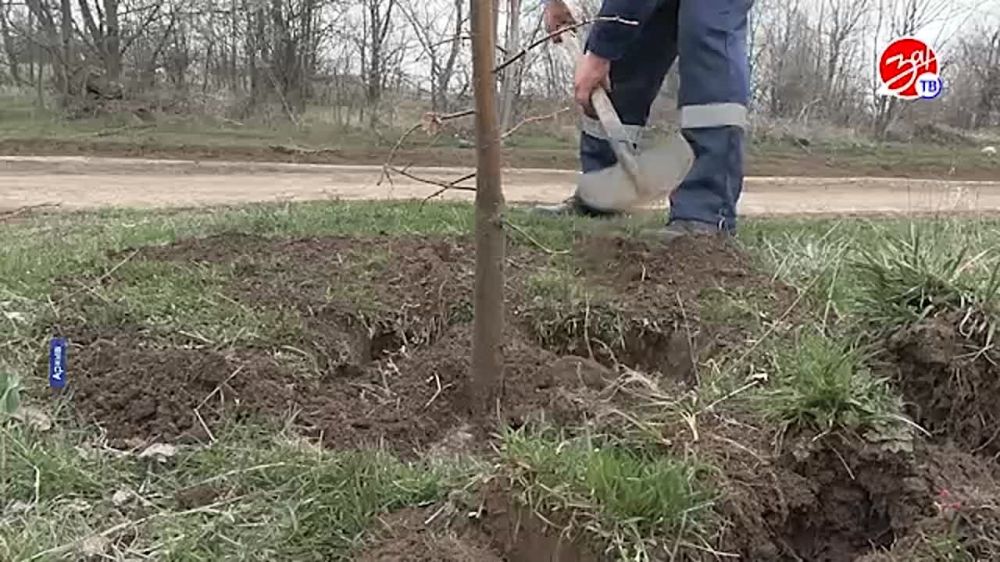 � ������������� ���������� ������ ���������� ���������� ��������� �� ���������� � ���������� ������ � 80-����� ������