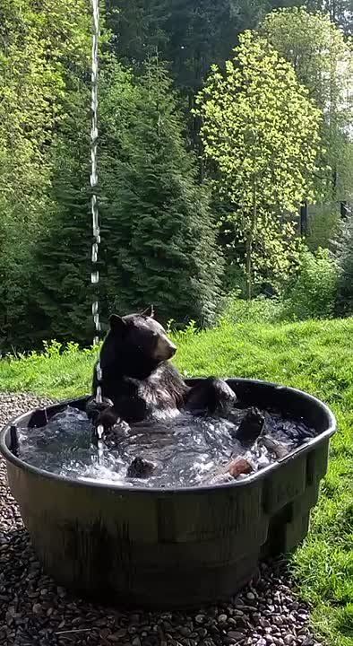 ������� ���� , ������� ������������!