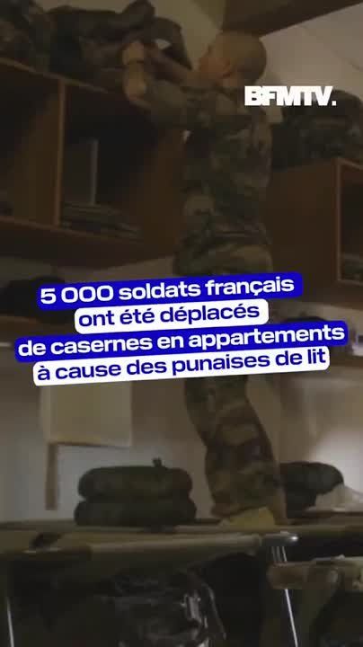 5 000        -    