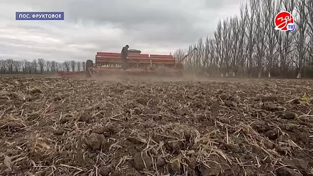 � �������������� ������ ������� ����� ������