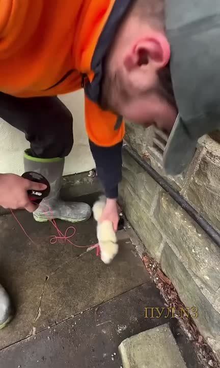 ��� ������� ������, ����� ��������� ����������: ��� ��������� �������� � ����� � ������� �������� ������