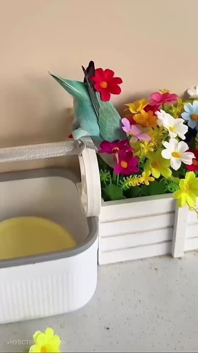 ������� ���� , ������� ������������!