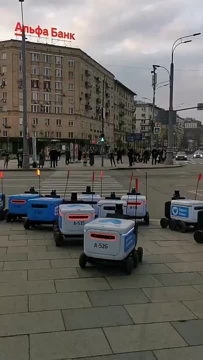 Я/мы скайнет! Мы здесь власть !