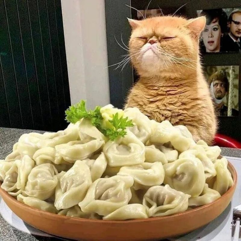 � ������ ����� ���������� ��������