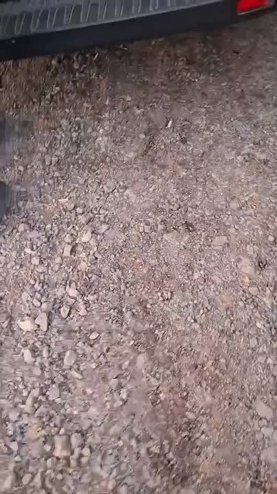     :    11-     