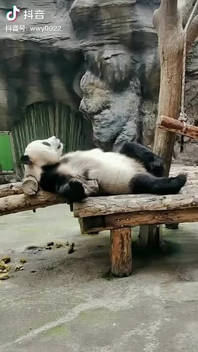   ,  !