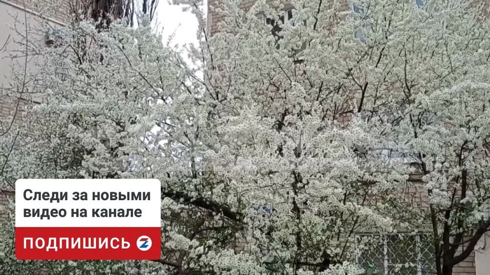 � ����������, ��� � ��������, ����� �������� ������� �����