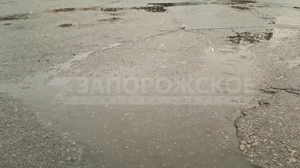 ���� � ���������� �������� ���������