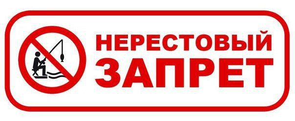 � ����������� ������� � 1 ������ �� 31 ��� 2025 ��������� ���������� ������: