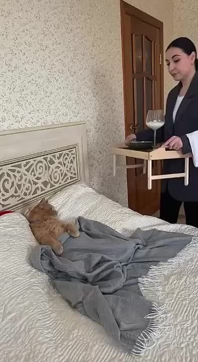   ,  !