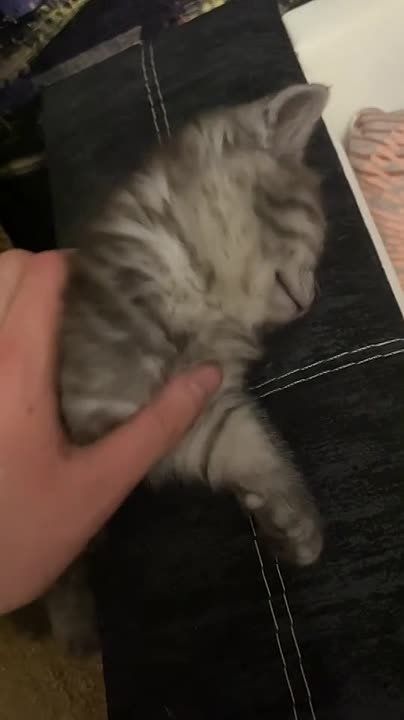   ,  !
