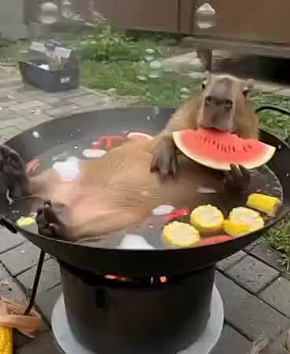     ,     ,   ,    