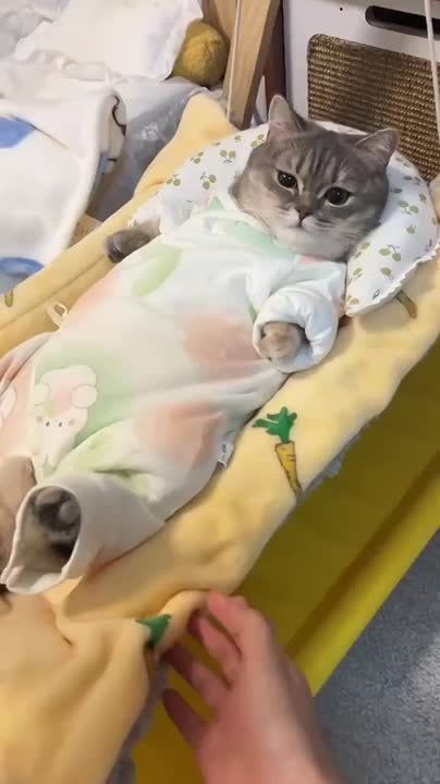   ,  !