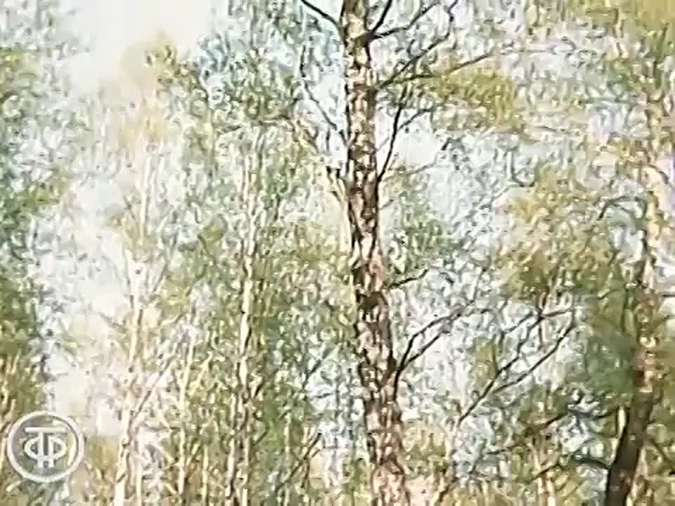������ ���� ������� ������������!