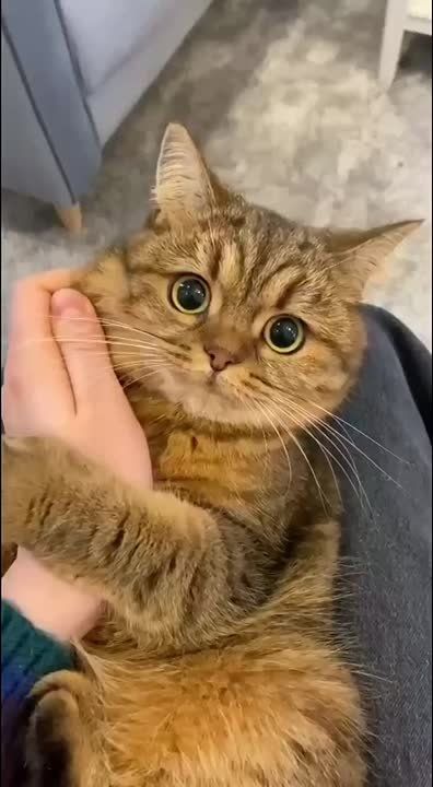   ,  !