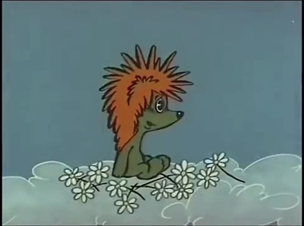   ,  !