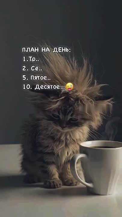   ,  !