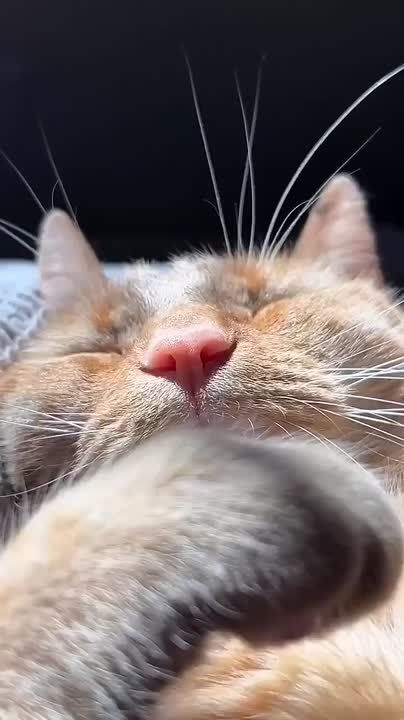   ,  !