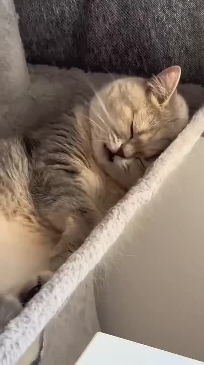  ,  !