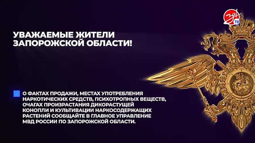 ���� �������� ����� ������ �����: ��� �������� � ������������������ � ����������� �������