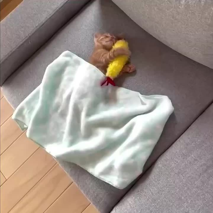   ,  !