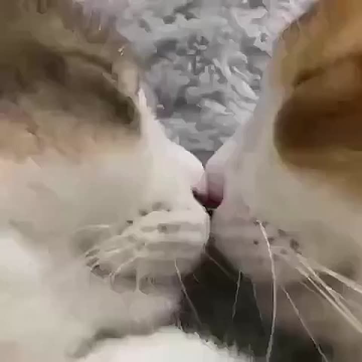    !