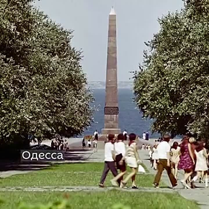 8  1965     -: 12         