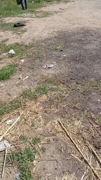 Жители Мелитополя жалуются на жутко воняющую свалку рядом с остановкой