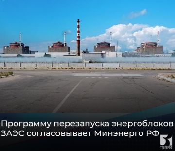 Программу перезапуска энергоблоков ЗАЭС согласовывает Минэнерго России