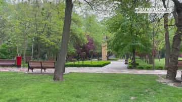 Майский дождь в парке Горького: свежесть, уют и вдохновение!