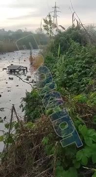 Экологическая катастрофа в Запорожье: в сети появилось видео загрязнённой мазутом реки