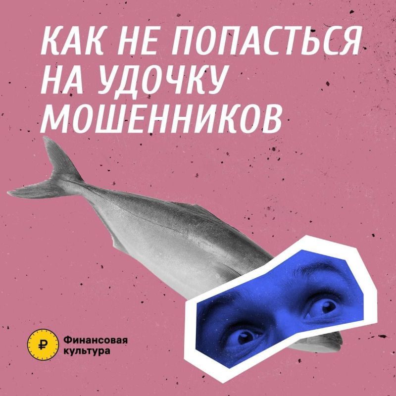            -,      ,   ,      