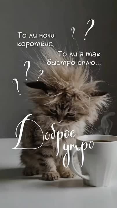   ,  !