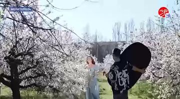 В Мелитополе состоялся финал регионального конкурса Черешневая краса