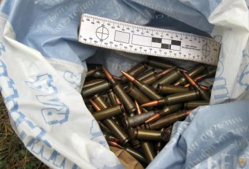 Жителю Мелитополя вынесли приговор за незаконное хранение боеприпасов
