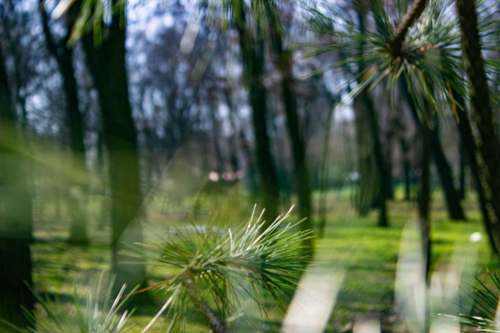 В Мелитополе дождливый весенний день