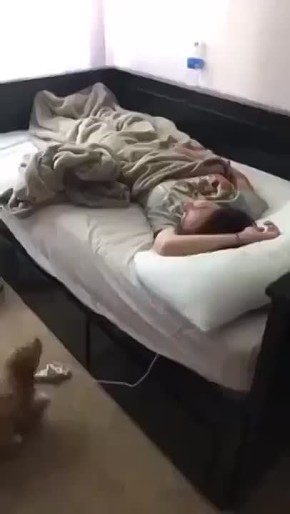   ,  !