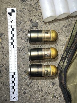 Полицейские Запорожской области изъяли оружие