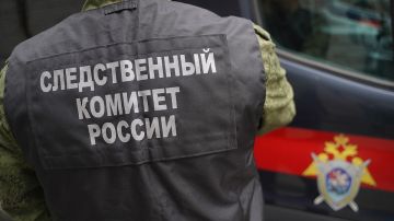 Суд арестовал обвиняемую в убийстве ребенка 14-летнюю девочку из Бердянска