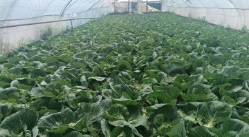 Фермер из Мелитопольского района получила 200 тысяч рублей на развитие хозяйства