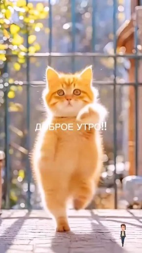   ,  !
