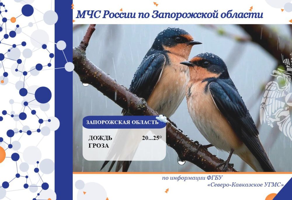 28 �� 29 ��� �� ���������� ������� ���������:
