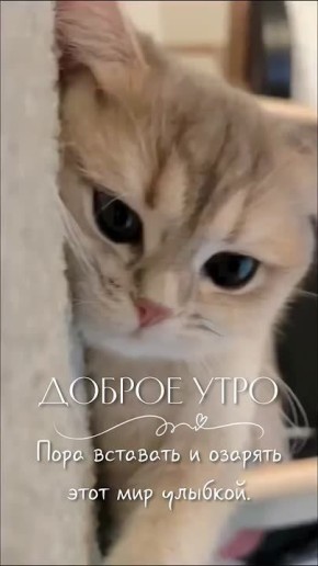   ,  !
