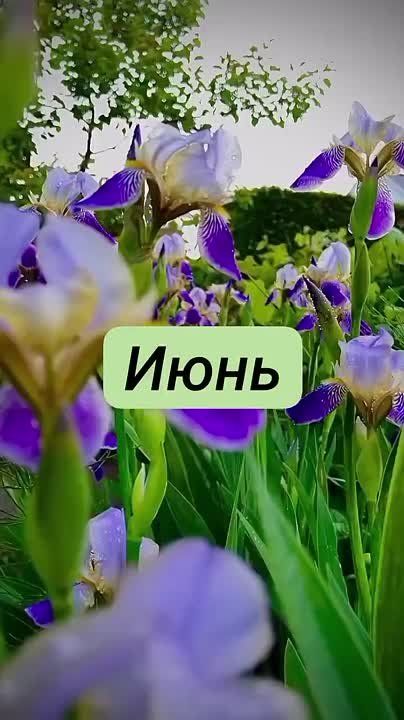     !
