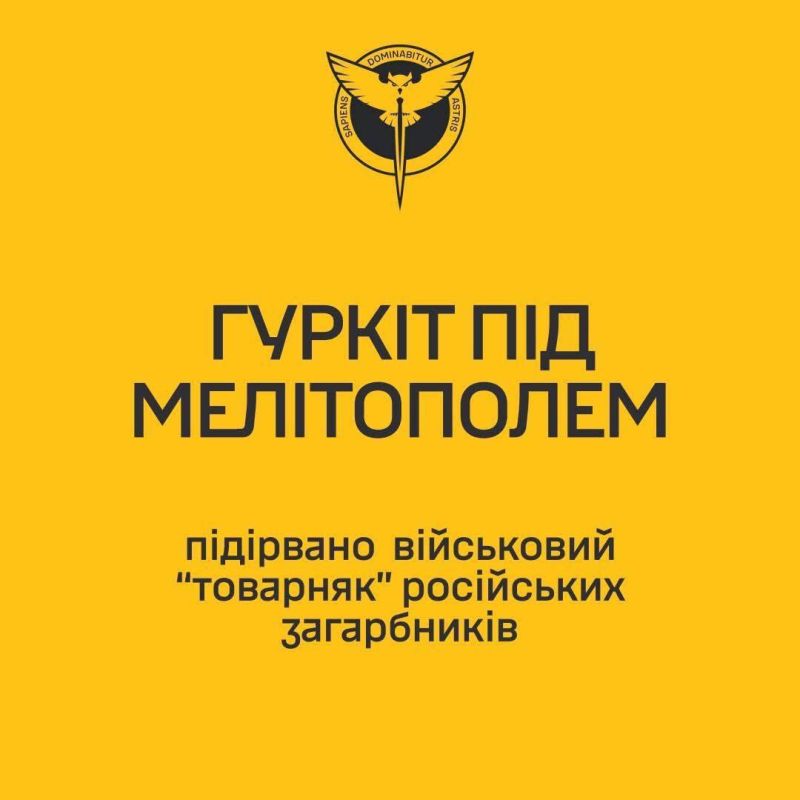    :       