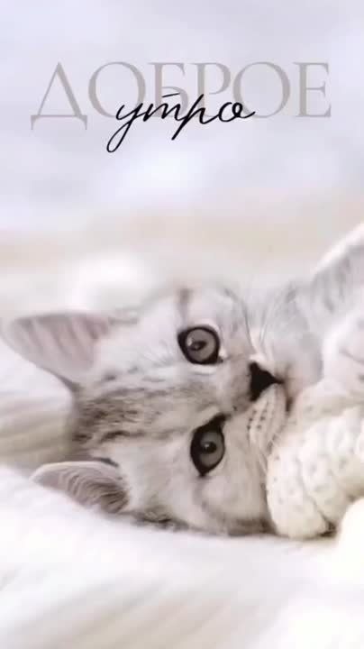   ,  !