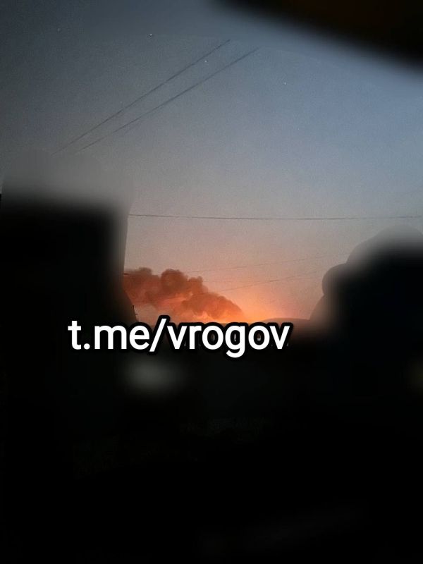  :        ,   ,   